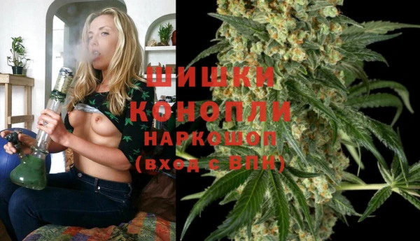 индика Лиски