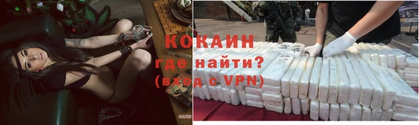 индика Лиски