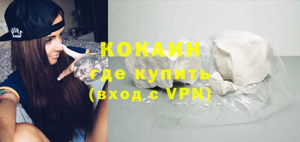 индика Лиски