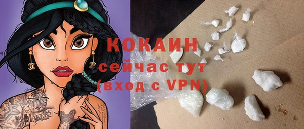 индика Лиски