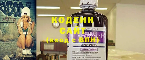 индика Лиски