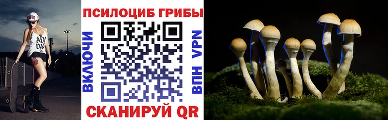Галлюциногенные грибы Psilocybe  Купить где  Тетюши 