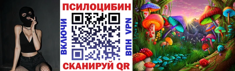 Псилоцибиновые грибы прущие грибы Тетюши